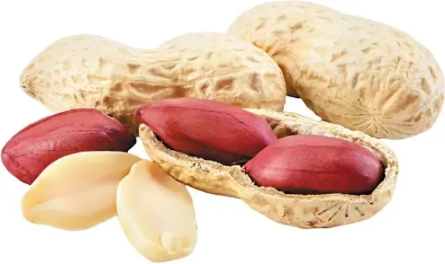 خرید و قیمت انواع مغز بادام زمینی خام