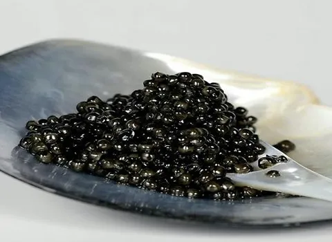 قیمت خرید خاویار بلوگا درجه یک + طرز تهیه