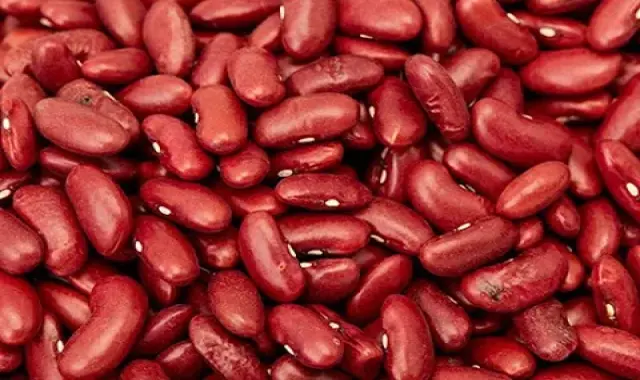 قیمت لوبیا قرمز ارگانیک