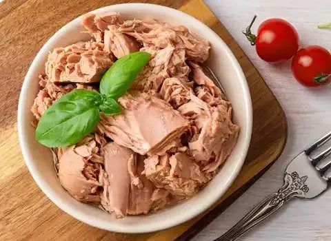 قیمت تن ماهی جنوب هامور + مشخصات بسته بندی عمده و ارزان