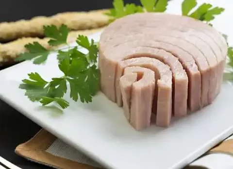 خرید جدیدترین انواع تن ماهی جنوب قدیمی