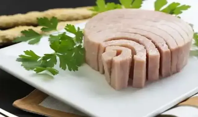 راهنمای خرید کنسرو تن ماهی سالمون با شرایط ویژه و قیمت استثنایی