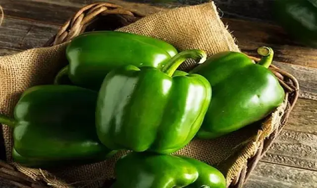 فلفل دلمه در بازار امروز؛ ارزش غذایی بالا مناسب غذا سالاد