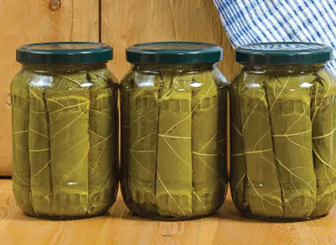 خرید بهترین انواع کنسرو برگ مو با قیمت ارزان