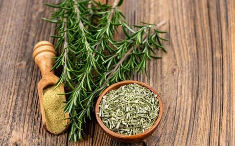 خرید گیاه رزماری خشک شده + بهترین قیمت