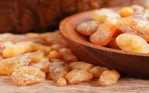 قیمت خرید گیاه آنغوزه خشک + فروش در تجارت و صادرات