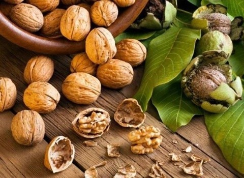 قیمت گردو خیس بدون پوست