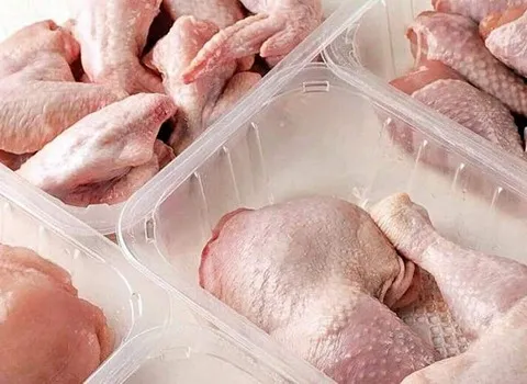 خرید انواع گوشت بوقلمون رشت + قیمت