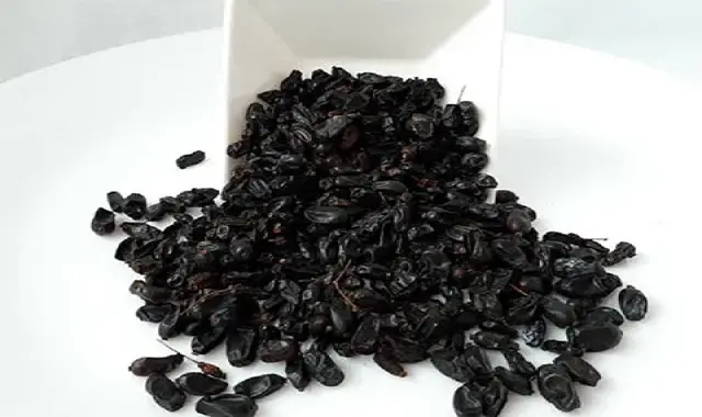 قیمت زرشک سیاه کوهی + مشخصات بسته بندی عمده و ارزان