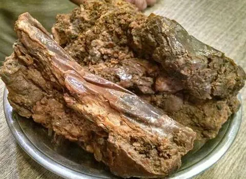 صمغ آنغوزه آشنایی صفر تا صد قیمت خرید عمده