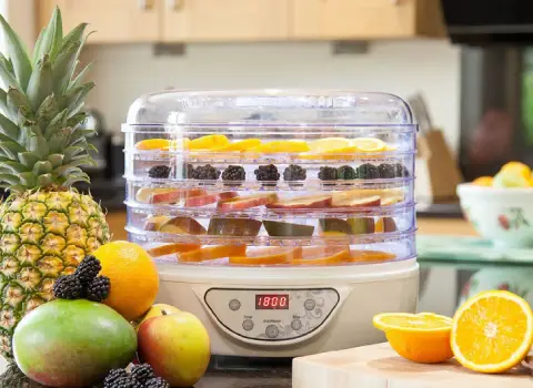 خرید دستگاه میوه خشک کن خانگی کوچک با قیمت استثنایی