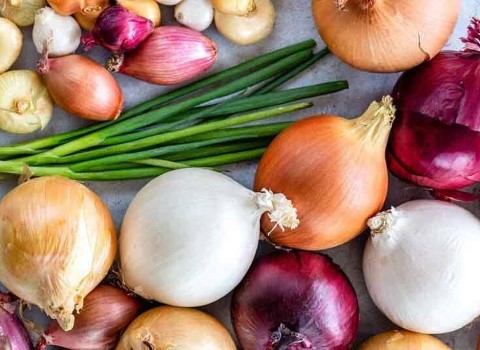 قیمت پیاز صادراتی به عراق