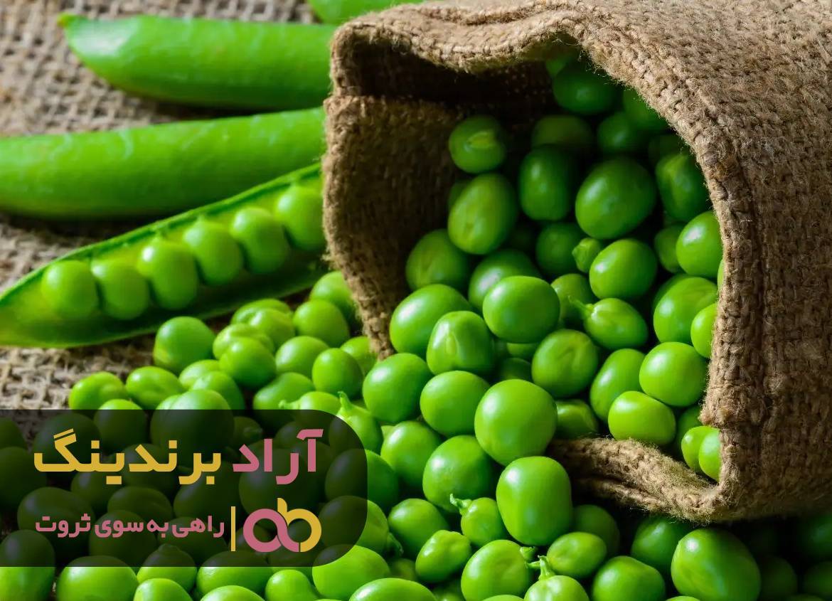 قیمت ماکارونی مک 700 گرمی + خرید و فروش