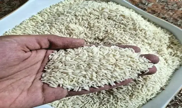 برنج هاشمی یک کیلویی؛ سفید معطر ارگانیک Delicious