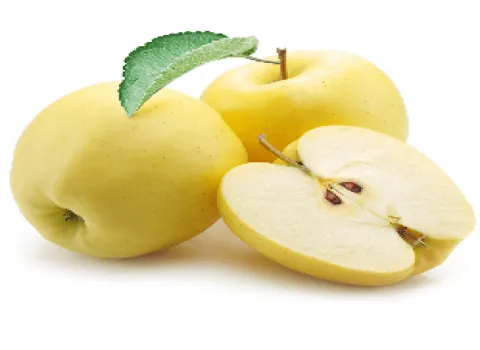 بهترین سیب زرد درختی + قیمت خرید عالی