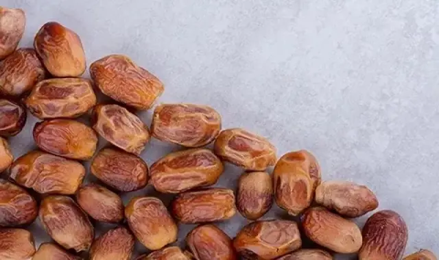 خرما خشک جهرم + قیمت خرید، کاربرد، مصارف و خواص