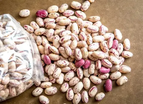 خرید و قیمت لوبیا چیتی خام عمده و فله