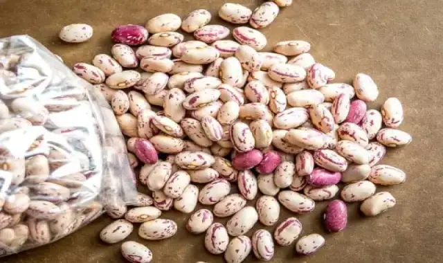 خرید و قیمت لوبیا چیتی خام عمده و فله