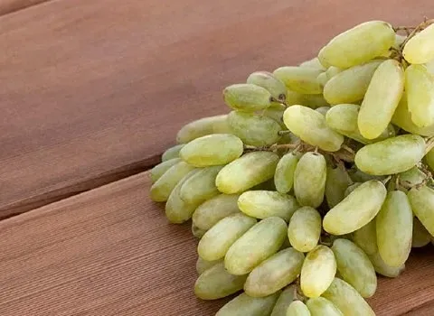 بهترین قیمت خرید انگور عسگری بی دانه در همه جا تهران، ملایر، قزوین، مشهد