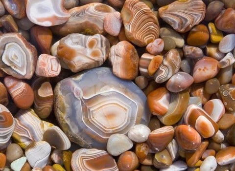 آیا سنگ عقیق زنده است