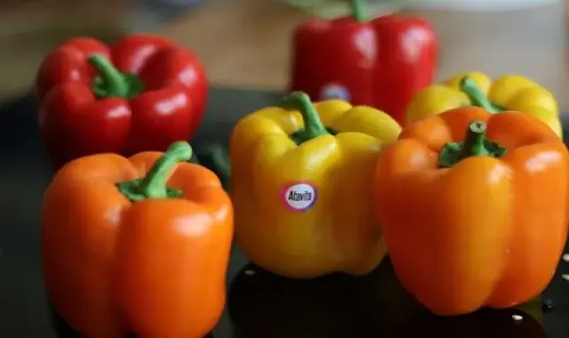 قیمت فلفل دلمه ای صادارتی از تولید به مصرف