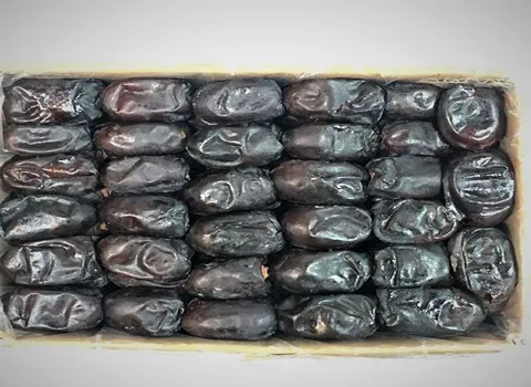 خرمای مضافتی سجاد؛ نرم گوشتی مناسب شیره کلوچه خاگینه Date