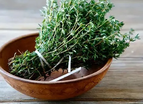 قیمت خرید آویشن تازه کوهی + خواص، معایب و مزایا