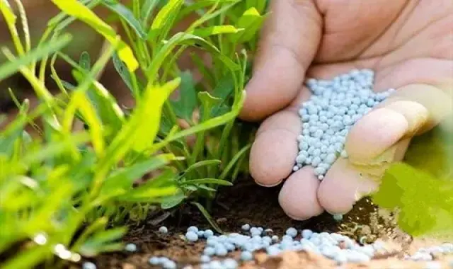 کود نانو کشاورزی؛ ارگانیک شیمیایی 2 رنگ آبی سفید کشاورزی خوراک دام