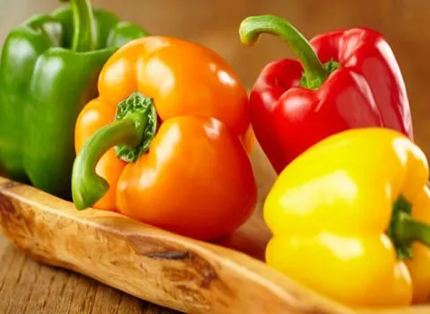 فلفل دلمه ای رنگی sweet pepper ارگانیک گلخانه ای ضد سرطان