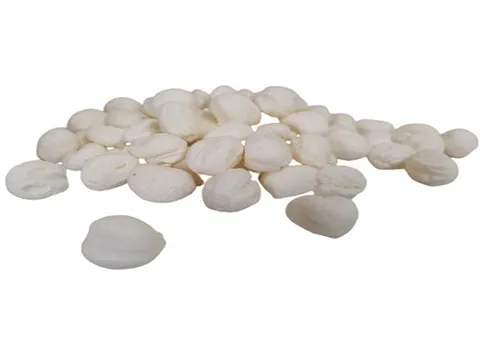 مشخصات شکر پنیر هل دار بجنورد و نحوه خرید عمده