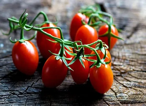 مرجع قیمت انواع گوجه فرنگی گلخانه ای + خرید ارزان