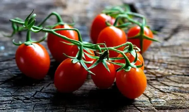 مرجع قیمت انواع گوجه فرنگی گلخانه ای + خرید ارزان