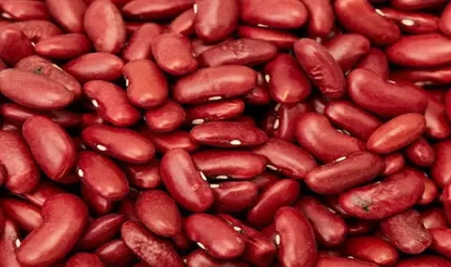 معرفی لوبیا قرمز پهن + بهترین قیمت خرید