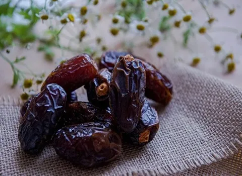 قیمت خرید عمده خرما کبکاب جنوب ارزان و مناسب
