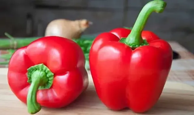 بهترین فلفل دلمه ای قرمز + قیمت خرید عالی