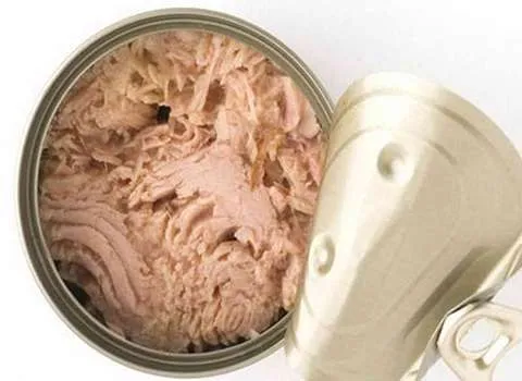 کنسرو تن ماهی رژیمی تحفه؛ طعم بی نظیر ویتامین منیزیم Calcium