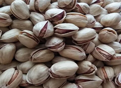 خرید و قیمت روز پسته فندقی درجه یک