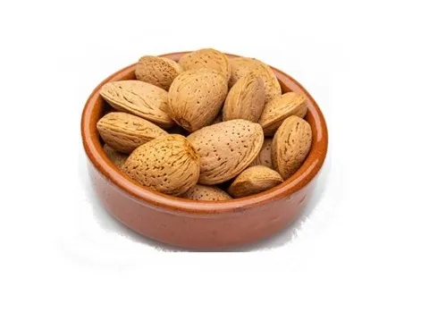 قیمت بادام مامایی خشک