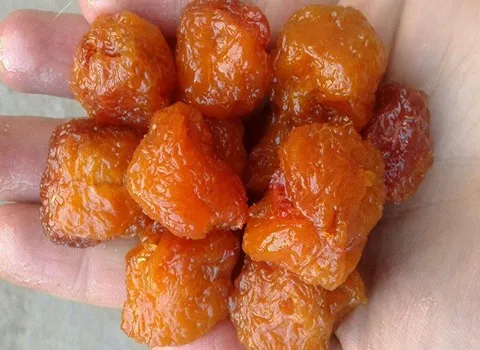 راهنمای خرید آلو بخارا خشک شده + قیمت عالی