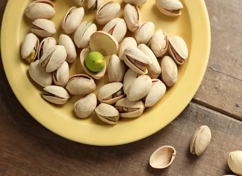 پسته خندان خام؛ اکبری کله قوچی خریداران هند یونان درشت jumbo