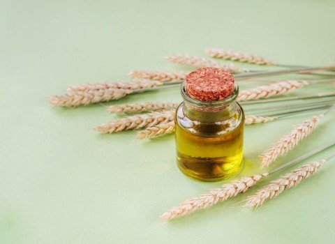 قیمت خرید روغن جوانه گندم اصل + مزایا و معایب