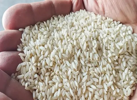 برنج عنبربو اهواز (چمپای سفید) کیسه ای خالص حاوی منیزیم فیبر Ahwaz