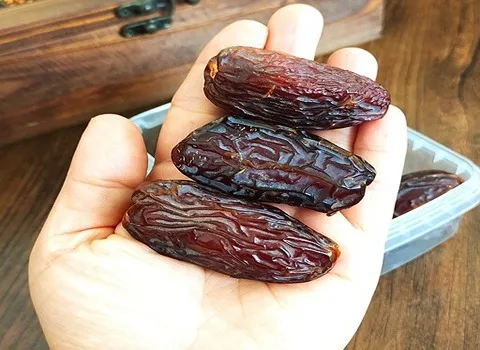 خرید انواع خرما مجول صادراتی + قیمت