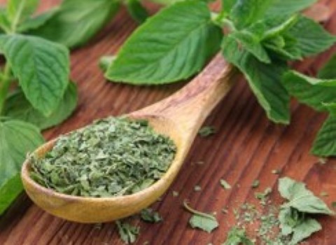 قیمت خرید نعناع خشک درجه یک + عکس