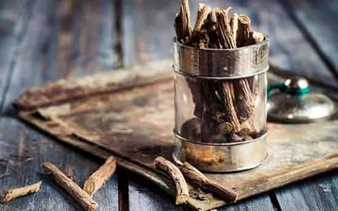 قیمت گیاه شیرین بیان کوهی + مشخصات بسته بندی عمده و ارزان