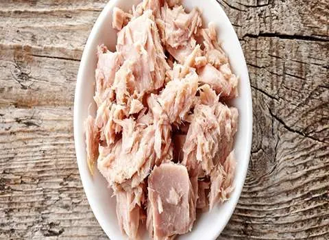 بهترین کنسرو ماهی لئونارد + قیمت خرید عالی