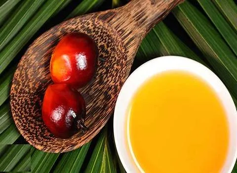 خرید روغن هسته خرما خوراکی با قیمت استثنایی