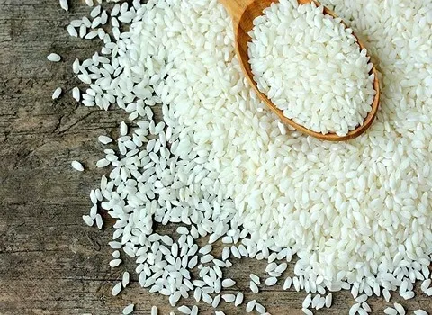 قیمت برنج نیم دانه سرگل + پخش تولیدی عمده کارخانه