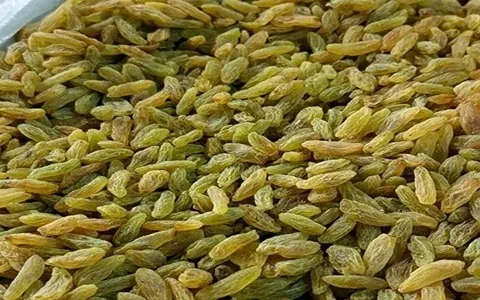 خرید کشمش سبز قلمی کاشمر | خرید با قیمت ارزان