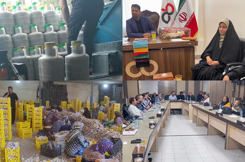 آرادنگاری فیلمی ۱۱ شهریور